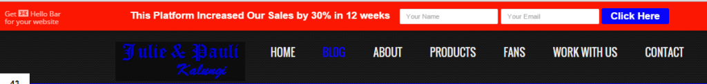 User friendly site with a simple yet pleasing Title Bar
