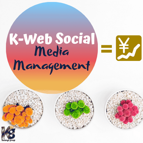 K-Web Social Media Management Services